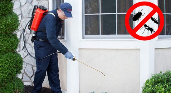 Kırkağaç Böcek İlaçlama böcek ilaçlama ve haşere kontrolü — ilaclama-tr.com